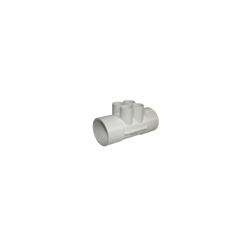 010007 Manifold