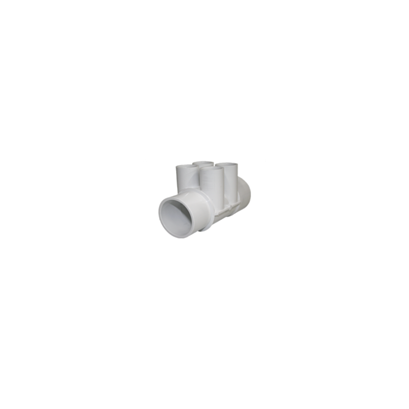 010011 Manifold