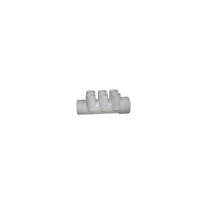 010018 Manifold