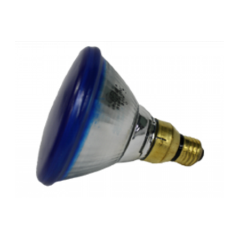30263 Light Bulb