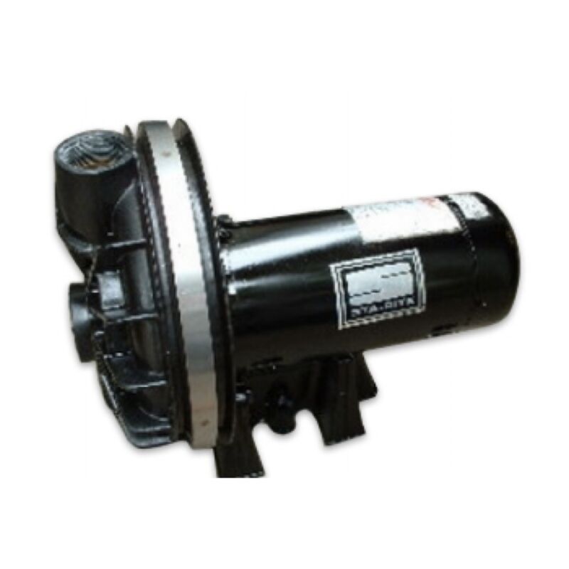 31239 Sta Rite Motor