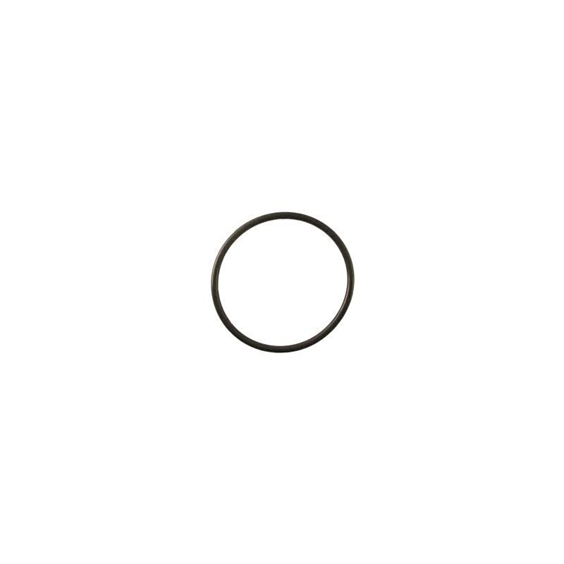 70799 Filter Lid O-Ring Hot Spot