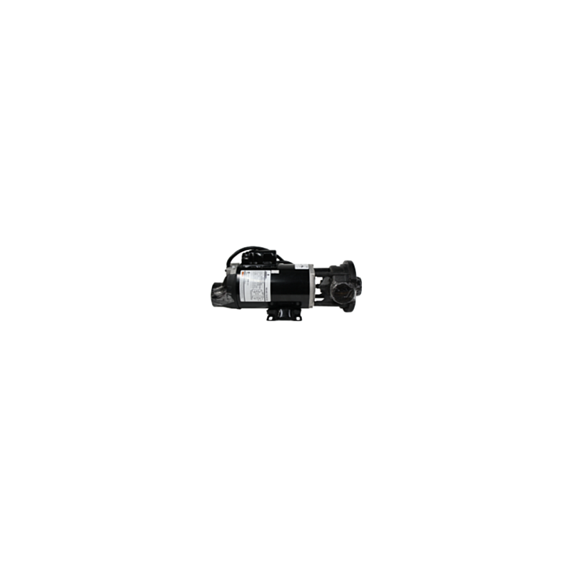 72200 Pump FMCP 1 HP, 115V 2 speed