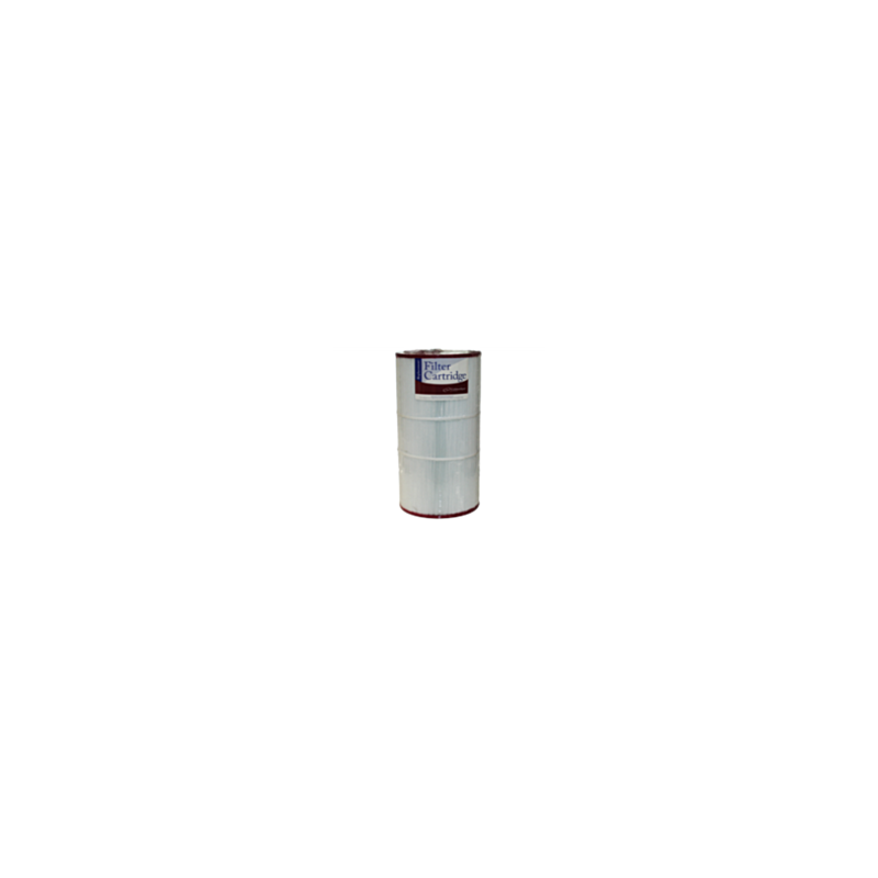 74817 Filter Cardridge 100 sq ft