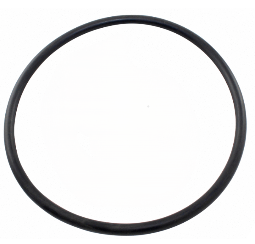 Pentair O-Ring 2-434 Lid | 352600