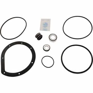 Aladdin GO-KIT12 for Hayward Power-Flo SP1500 | AEQGOKIT12