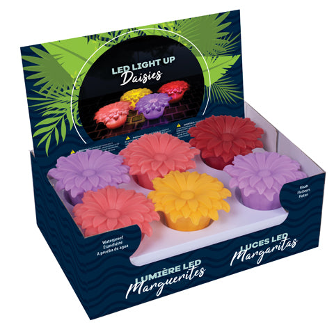 Floating LED Light Up Daisies