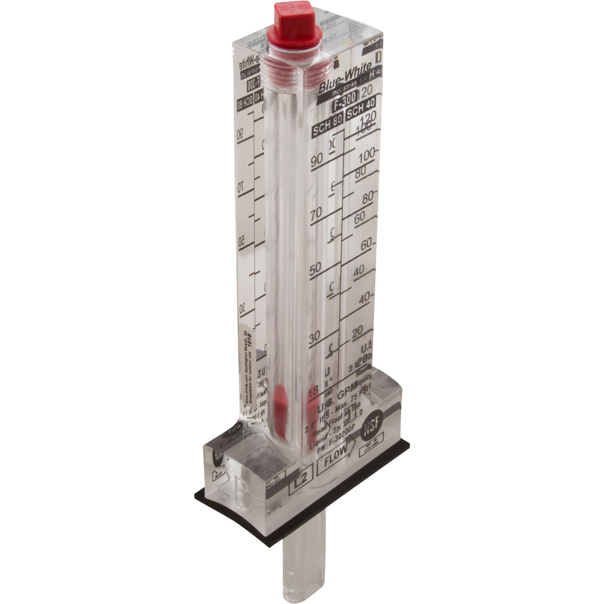 Blue-White Flow Meter for 2" PVC, 20-120 GPM (F-30200P)