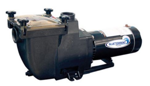 Blue Torrent Maxi 1.5HP Dual Port A/G Pool Pump, Black | MX115DNSBS