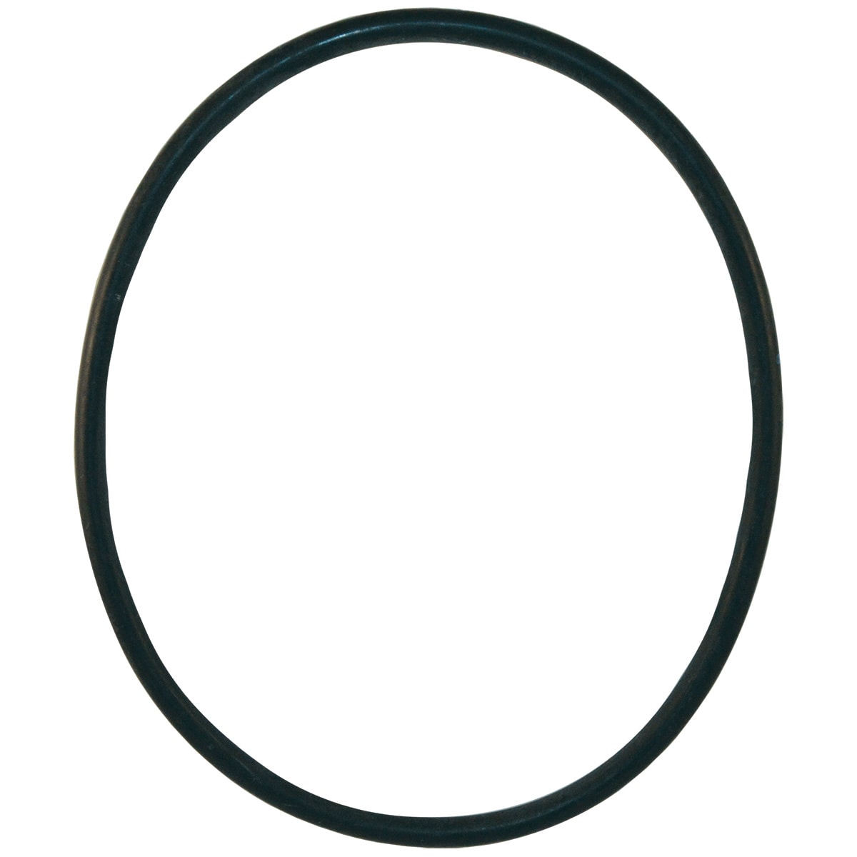 Hayward Star-Clear II Filter Head O-Ring | CX800F