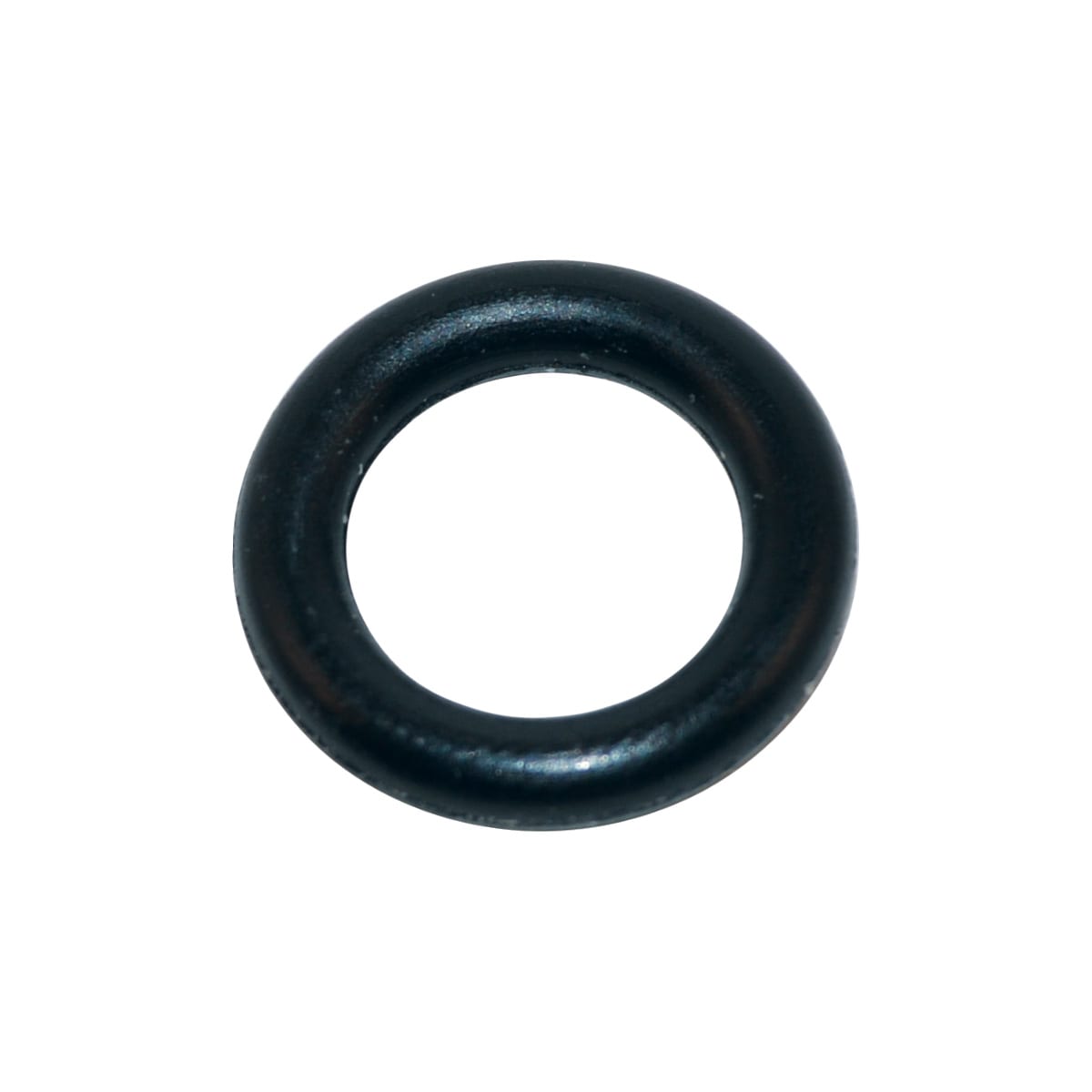 Hayward Star Clear Valve O-Ring, 10/Pack | SPX1082Z410