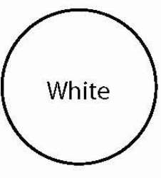 Olympic 2222 Poxolon 2 High Gloss Epoxy Pool Coating, White, 1 gal | 2
