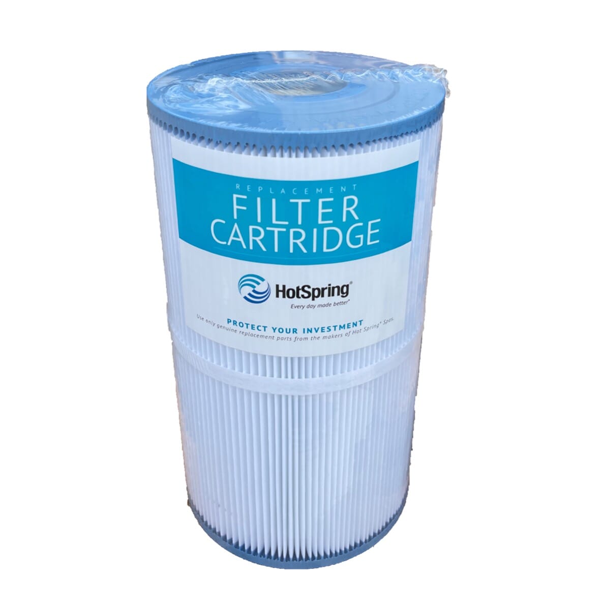 Hot Spring Replacement 30 sq. ft. Filter 71825 31489